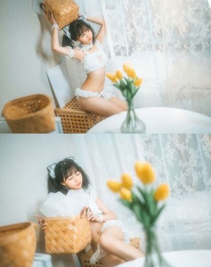 动物兄弟第二季