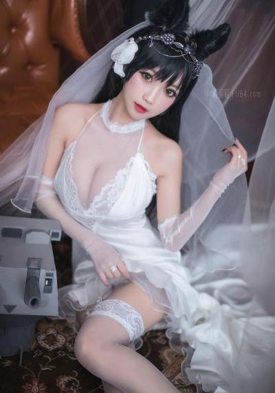 冬至40集电视剧免费观看