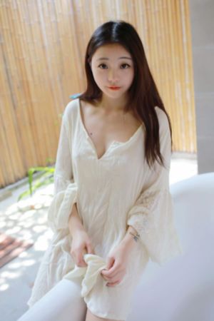 解密电视剧全集