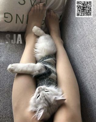 丰满双乳秘书被老板狂揉捏hd
