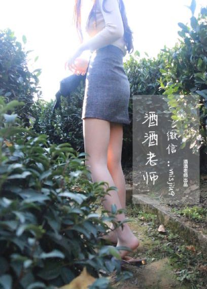 雪山飞狐老版40集免费观看
