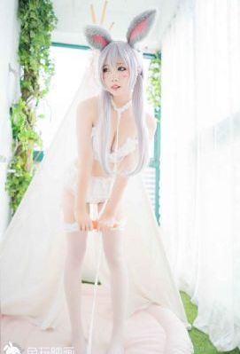 猪蜜蜜