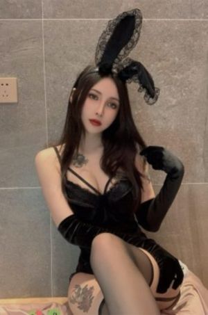 《可可西里的美丽传说》