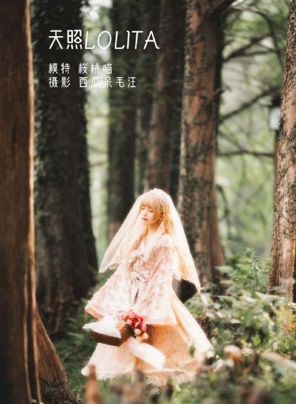 夏洛特