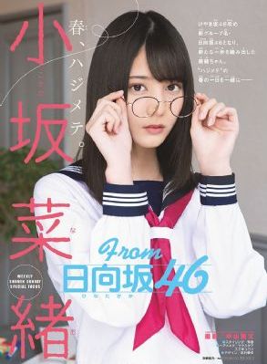 花开半夏电视剧